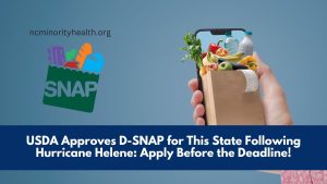 USDA Approves D-SNAP for This State Following Hurricane Helene: Apply Before the Deadline!